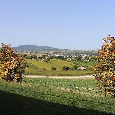 Villa Belvedere Degli Ulivi Osimo Exteriör bild