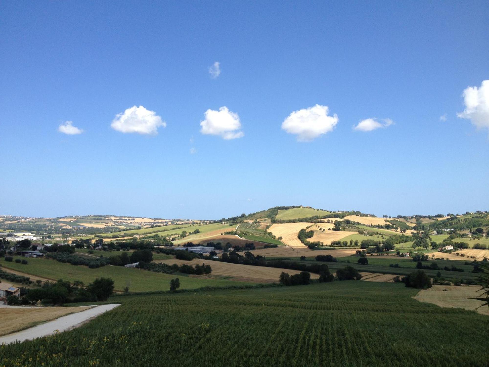Villa Belvedere Degli Ulivi Osimo Exteriör bild