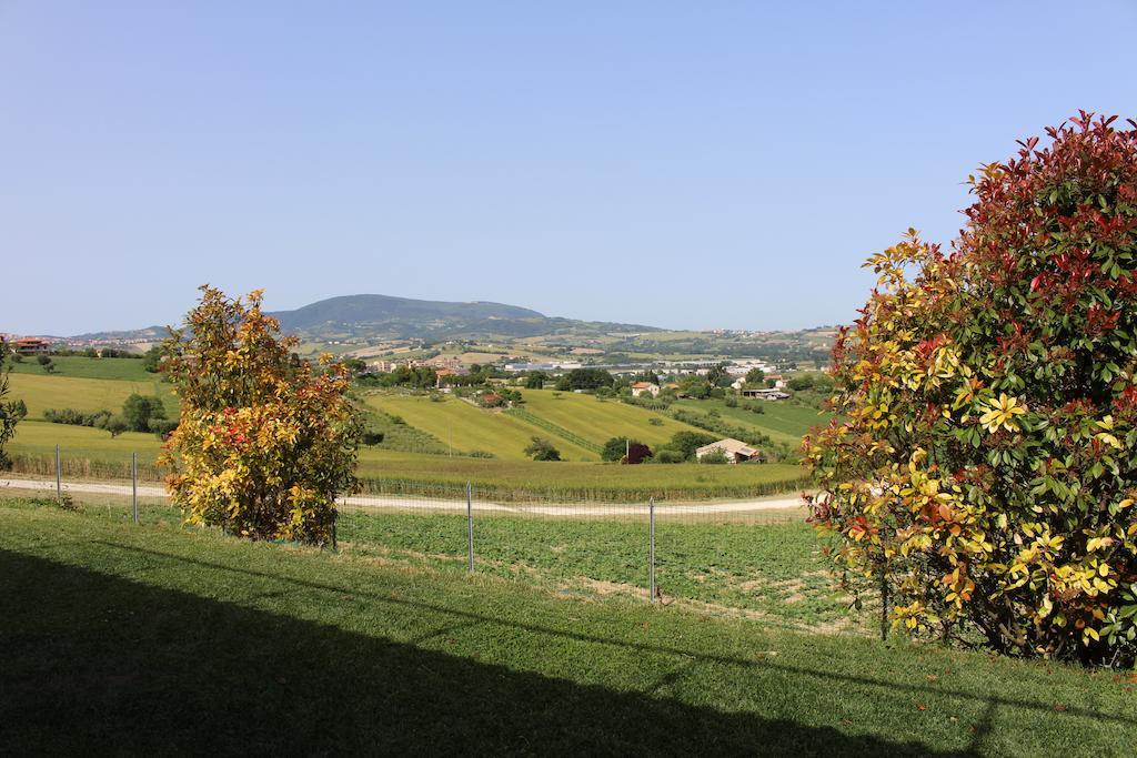 Villa Belvedere Degli Ulivi Osimo Exteriör bild